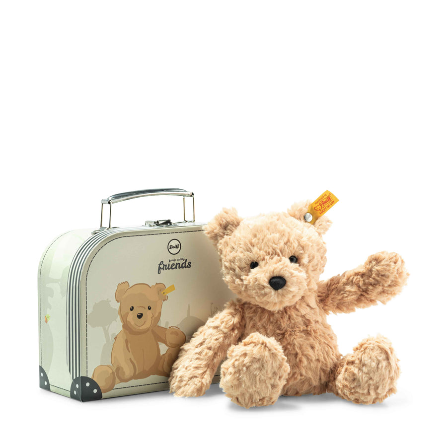 Teddy bear with a suitcase featuring another teddy bear on a white background