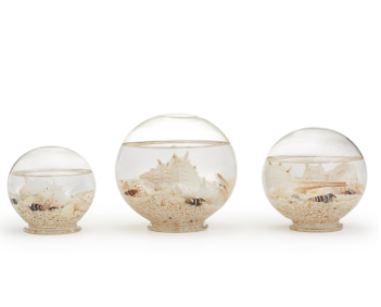 Decorative Filled Sealife Globes Small