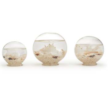 Decorative Filled Sealife Globes Medium
