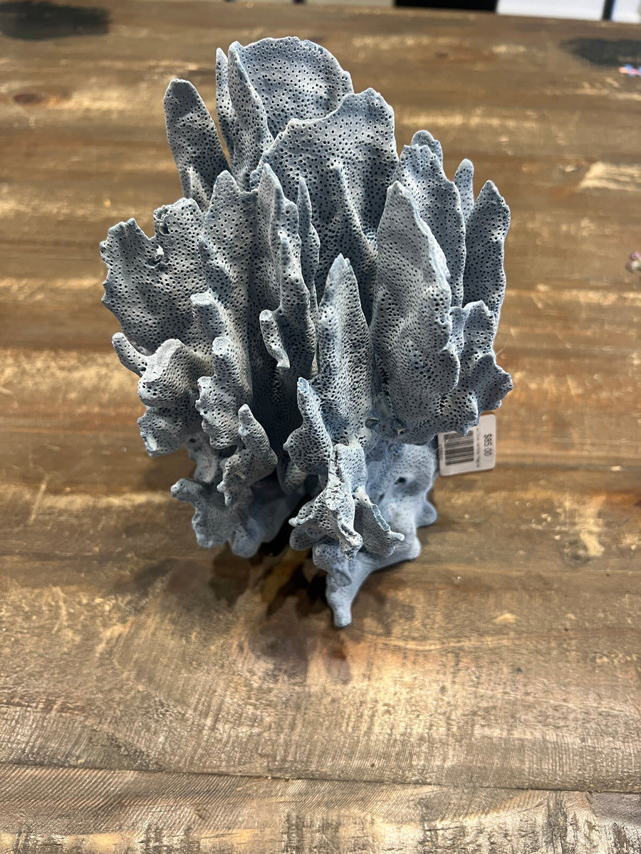 Blue Coral Verticle