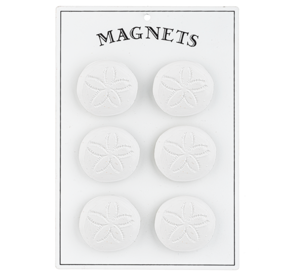 sand dollar magnets