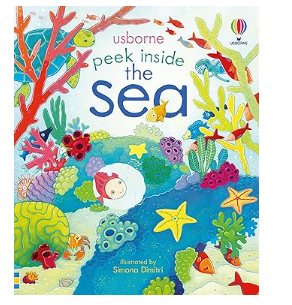 peek inside the sea