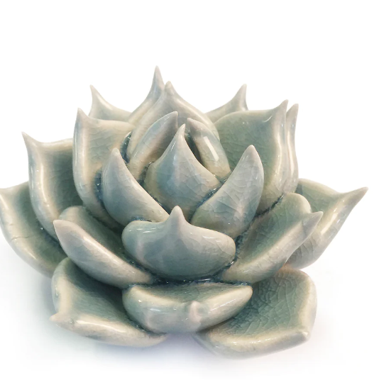 Coral Statue Succulent Light Blue