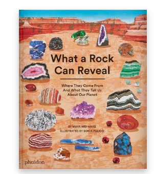 What a Rock can Reveal Book