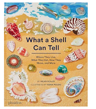 What a Shell can Tell Book
