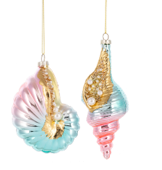 Colorful Seashell Ornament 