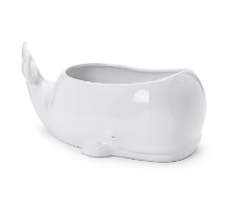 whale planter