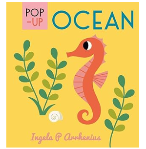 Pop Up Ocean Book kids
