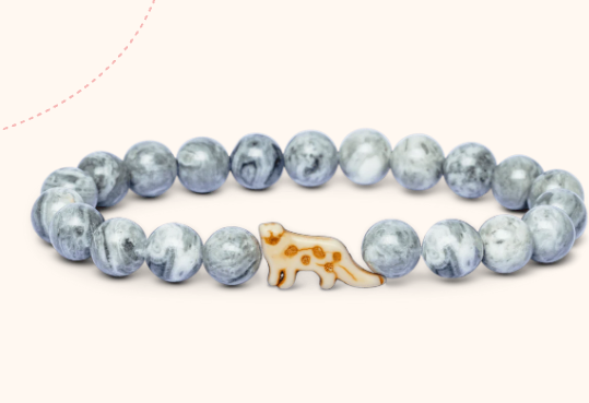 Fahlo Bracelets Tracking