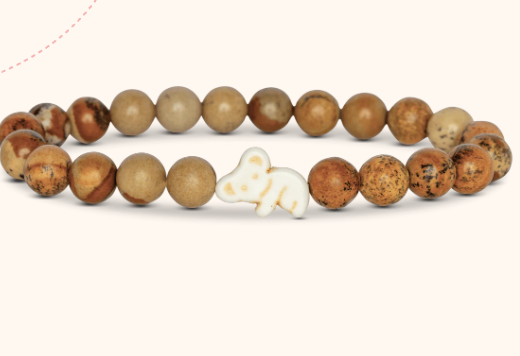 Fahlo Bracelets Tracking