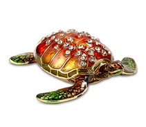 sea turtle box