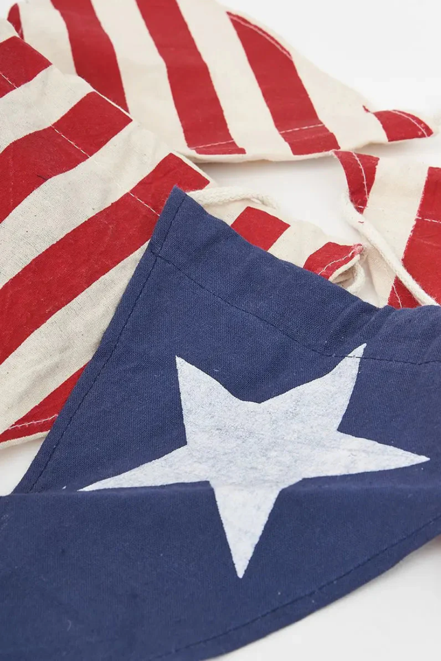Star and Stripes Banner of Flags by Battle