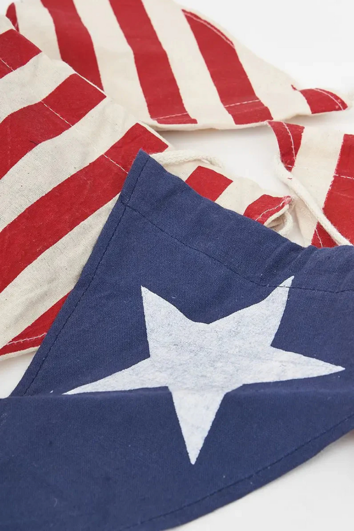 Star and Stripes Banner of Flags by Battle