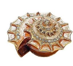 nautilus shell