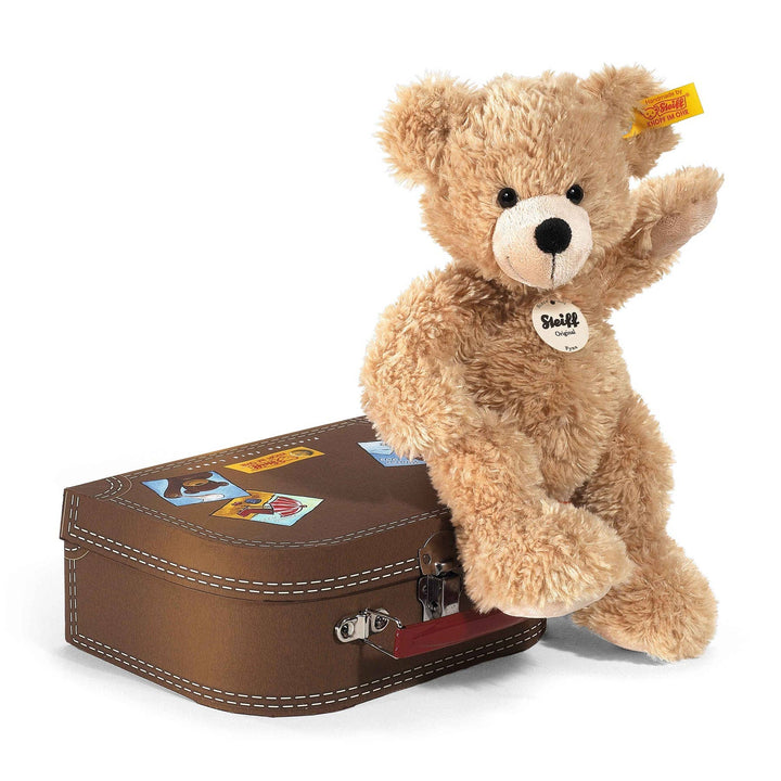 Fynn Teddy Bear in Suitcase, Children's Plush Toy