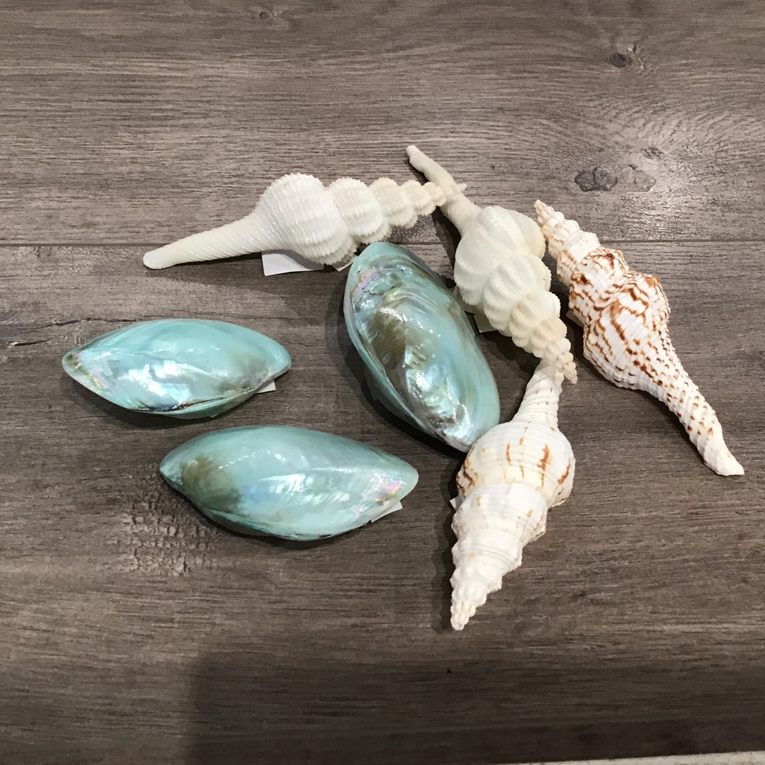Random Shells
